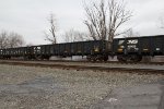 NS 211298